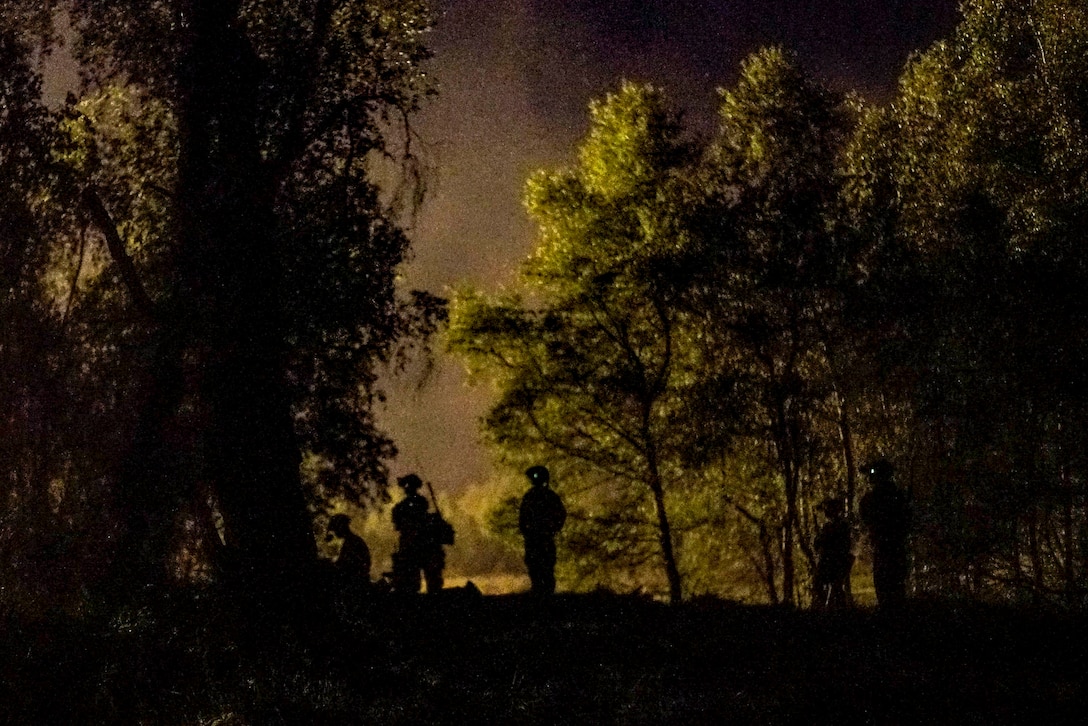 Soldiers, shown in silhouette, stand in a dark, wooded area.
