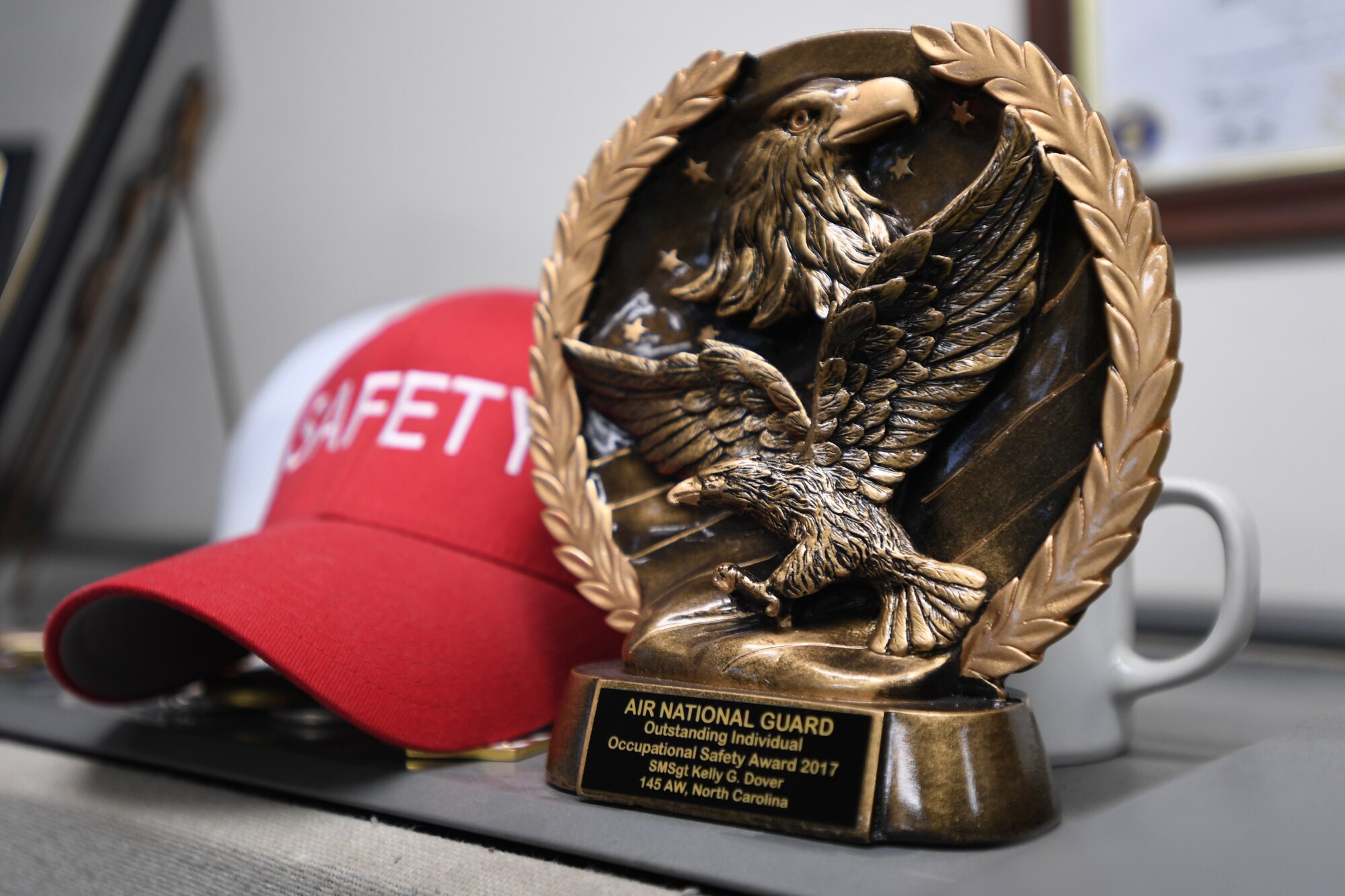 U.S. Air Force Senior Master Sgt. Kelly Dover, 145th Airlift Wing Occupational Safety Manager, received the 2017 Air National Guard Outstanding Individual Occupational Safety Award at the North Carolina Air National Guard Base, Charlotte Douglas International Airport, May 5, 2018. The award is given to outstanding individuals that have significantly contributed to the safety community and the Air National Guard.