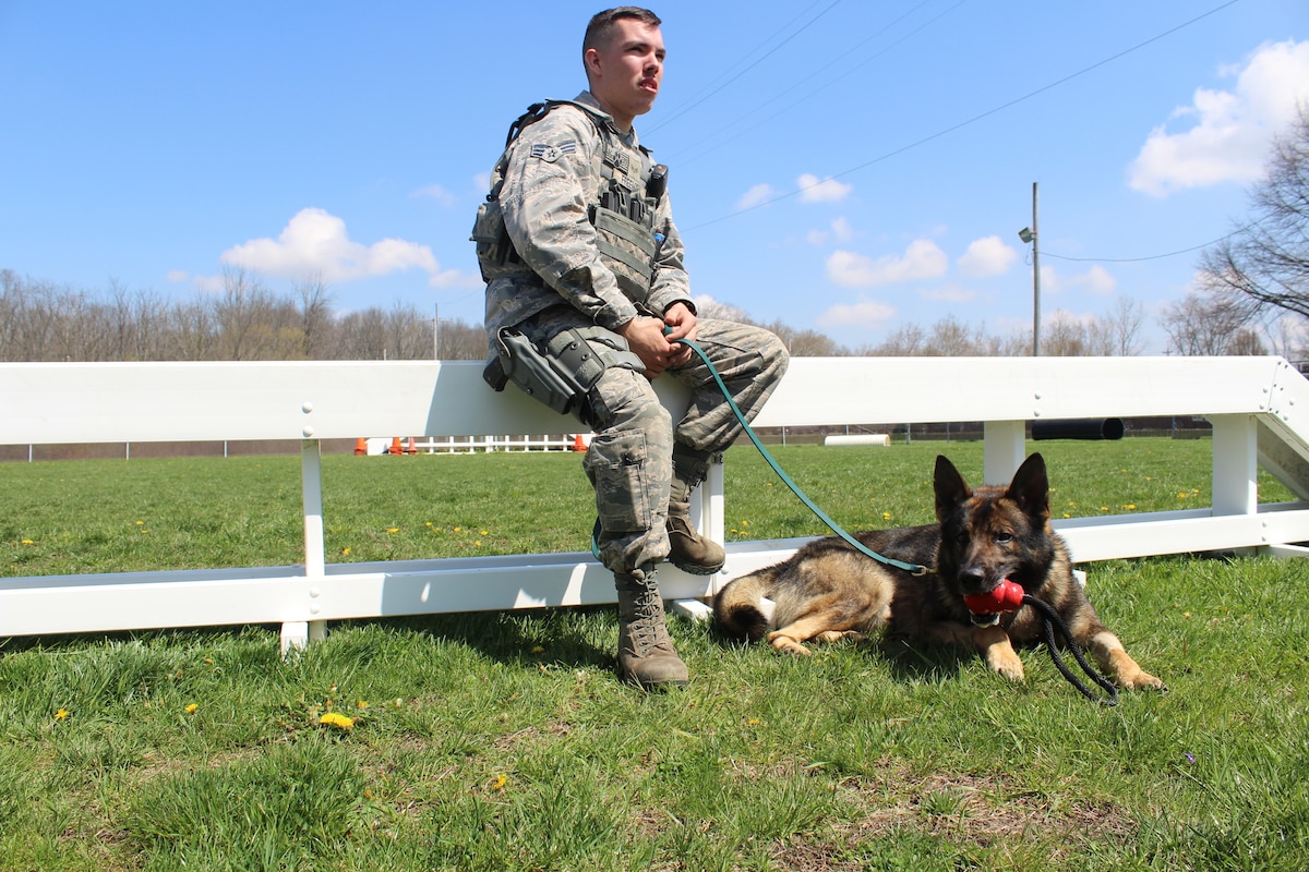 Military Working Dogs And Handlers….A Dedicated Partnership >  Wright-Patterson Afb > Article Display