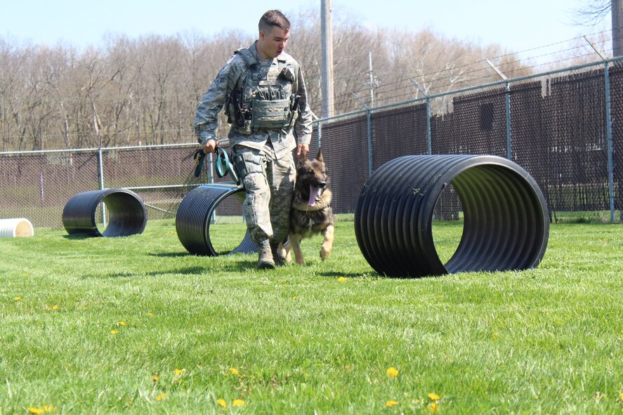 Military working dogs at the 88th Security Forces Squadron are either out on patrol or stay at the kennel to train. Senior Airman Marshall Freeman, 88th Security Forces military working dog handler takes his partner through the obstacle course located at the MWD kennel. (U.S. Air Force photo/Stacey Geiger)