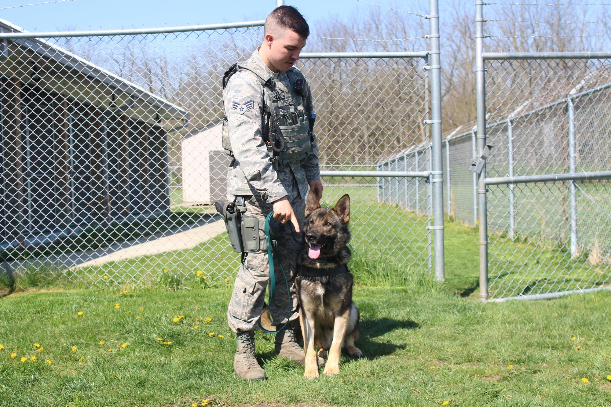 Senior Airman Marshall Freeman, 88th Security Forces military working dog handler is giving his partner Sonny a command. New to being a MWD handler, Freeman has been a handler for about a year and Sonny has been at Wright-Patterson AFB for about six months. Since Sonny’s arrival, Freeman and Sonny have been working on strengthening their partnership. (U.S. Air Force photo/Stacey Geiger)