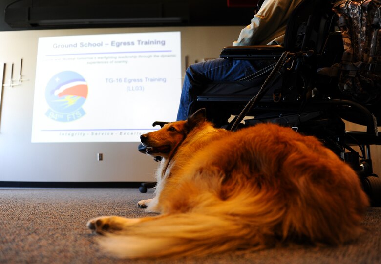 Eight wounded warriors, including a service dog, receive a safety briefing and egress training prior to their orientation flight May 8, 2018, at the Air Force Academy. The 94th Flying Training Squadron hosted the event. The unit partnered with the Soaring Eagle Foundation and Wounded Warrior Program to fly eight veterans aboard the Academy’s glider. (U.S. Air Force photo/Master Sgt. Julius Delos Reyes)