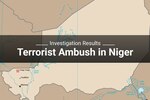 Investigation Results Terrorist Ambush in Niger