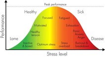 Lt. Col. Jannell MacAulay, 58th Special Operations Wing director of human performance and leadership, used a bell-curve graph as example to depict the basic idea of stress and how it can effect a human’s ability to perform.