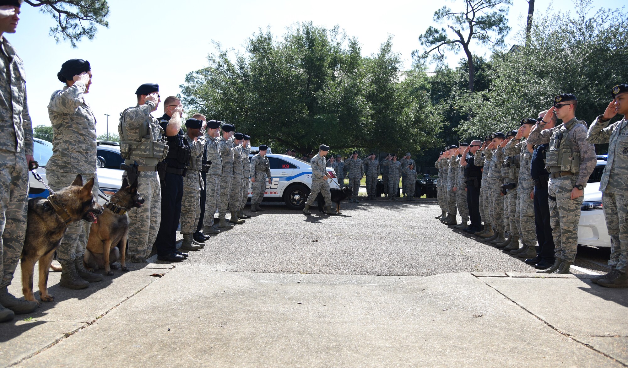 U.S. Air Force Staff Sgt. Jordan Leiter, 81st Security Forces Squadron military working dog trainer, escorts Ares, 81st SFS retired MWD, during a final salute memorial service outside the vet clinic at Keesler Air Force Base, Mississippi, May 9, 2018. Defenders attended the memorial to pay tribute to Ares for his eight years of service in where he served in three combat operation deployments including Iraq and Afghanistan. (U.S. Air Force photo by Kemberly Groue)