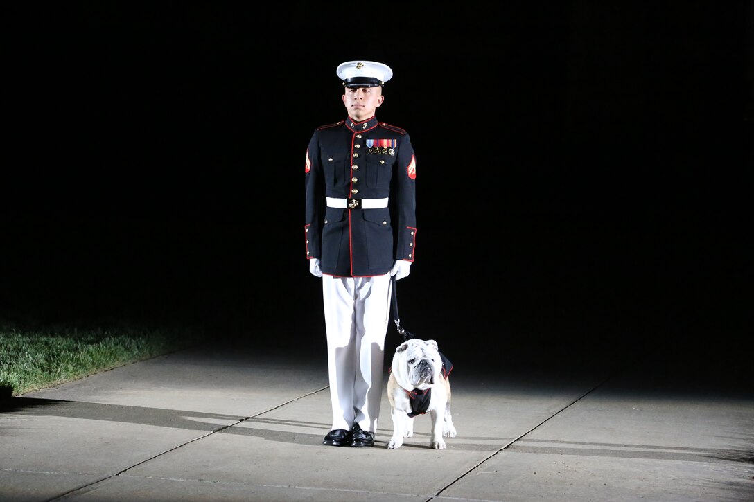 Corporal Troy Nelson, mascot handler, marches the Marine Corps mascot Sgt. Chesty XIV down Center Walk during a Friday Evening Parade at Marine Barracks Washington D.C., May 11, 2018. The guest of honor for the parade was the Deputy Secretary of Defense Patrick M. Shanahan and was hosted by the Assistant Commandant of the Marine Corps Gen. Glenn M. Walters.