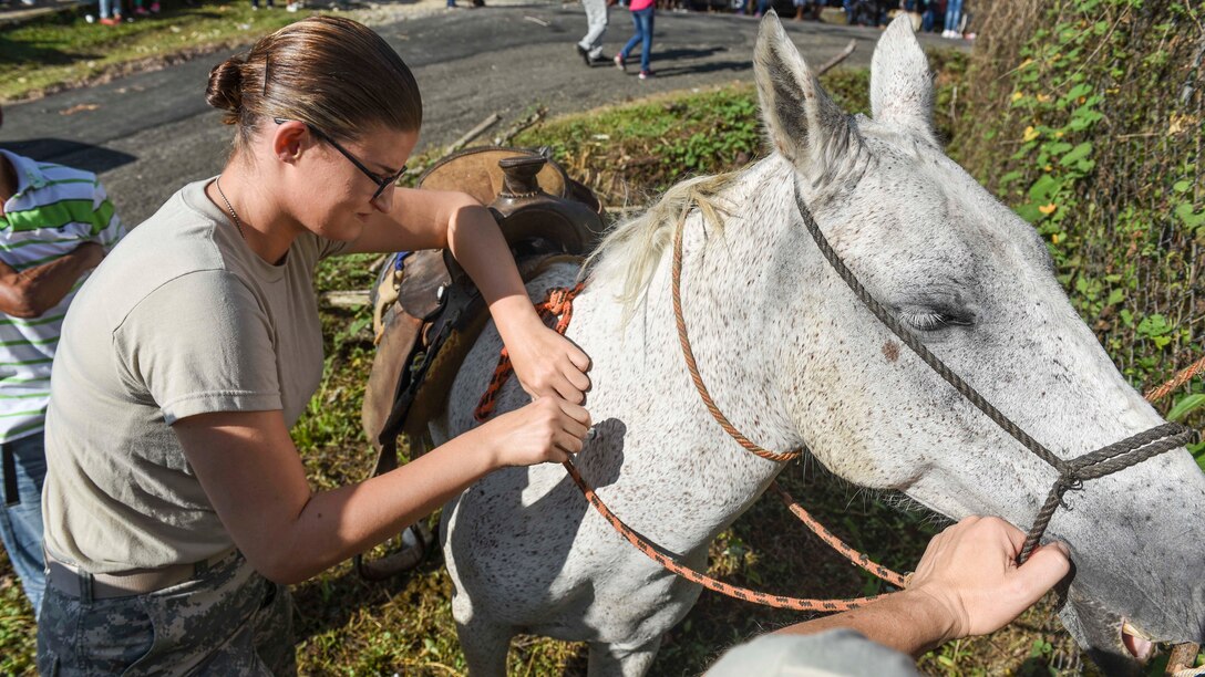 A soldier vaccinates a horse.