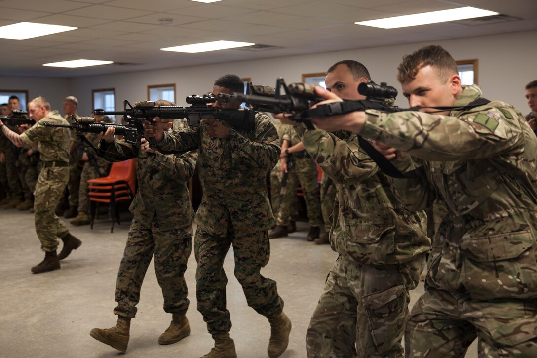 An integrated platoon of Marines with 6th Engineer Support Battalion, 4th Marine Logistics Group, Marine Forces Reserve, and commandos with 131 Commando Squadron Royal Engineers, British army, participate in practical application for a combat marksmanship class during exercise Red Dagger at Fort Indiantown Gap, Pa., May 13, 2018.