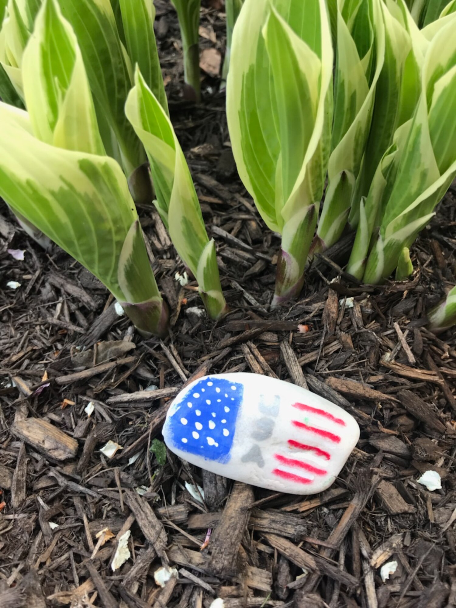 A painted kindness rock sits near a sidewalk at Grissom Air Reserve Base, Ind. Spearheaded by Christy Shives, 434th Force Support Squadron Airman and Family Readiness Center violence prevention integrator, the kindness rock campaign is aimed to spread simple positive sentiments around base. (U.S. Air Force photo/Staff Sgt. Katrina Heikkinen)