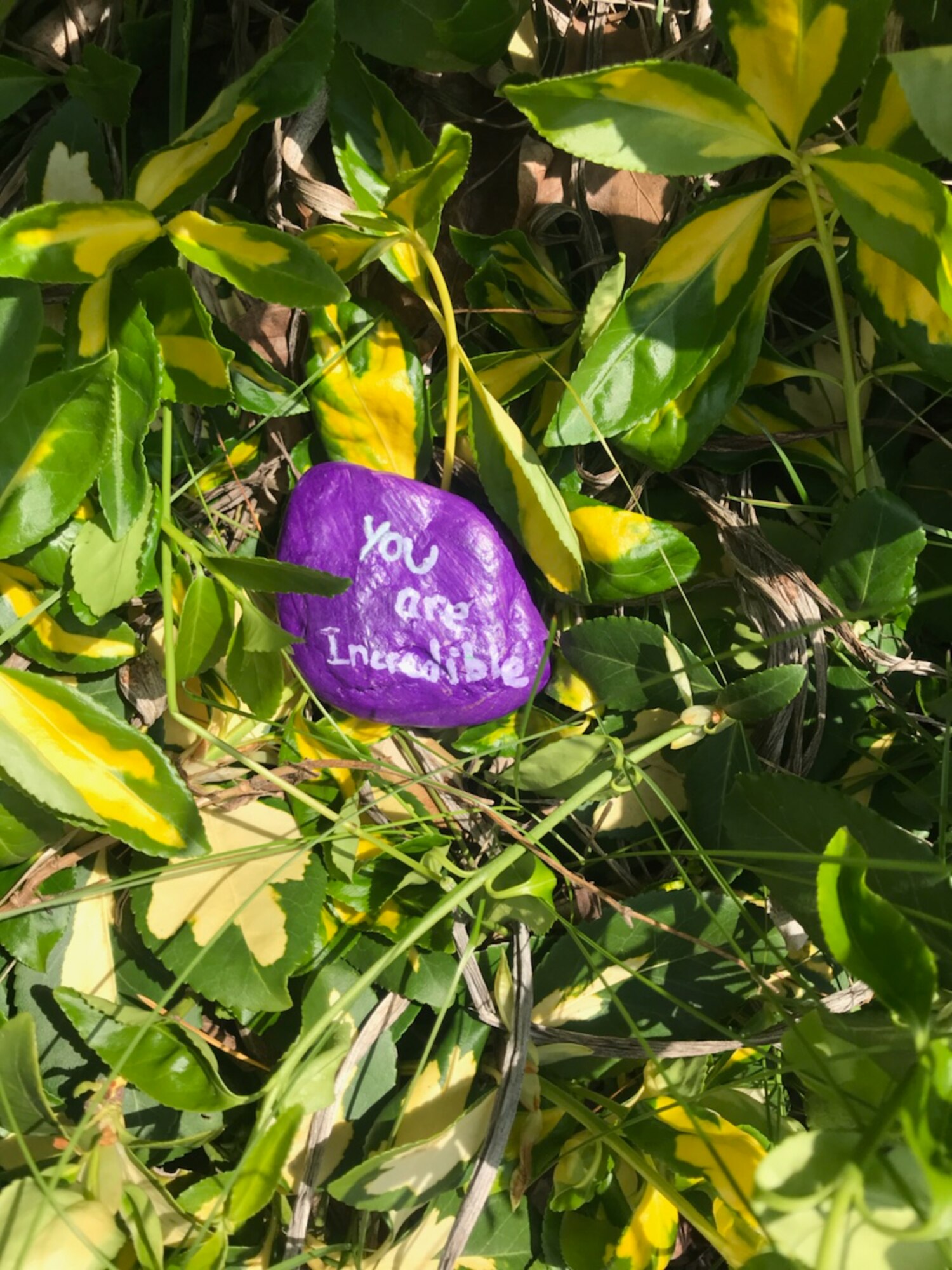 A painted kindness rock sits near a sidewalk at Grissom Air Reserve Base, Ind. Spearheaded by Christy Shives, 434th Force Support Squadron Airman and Family Readiness Center violence prevention integrator, the kindness rock campaign is aimed to spread simple positive sentiments around base. (U.S. Air Force photo/Staff Sgt. Katrina Heikkinen)