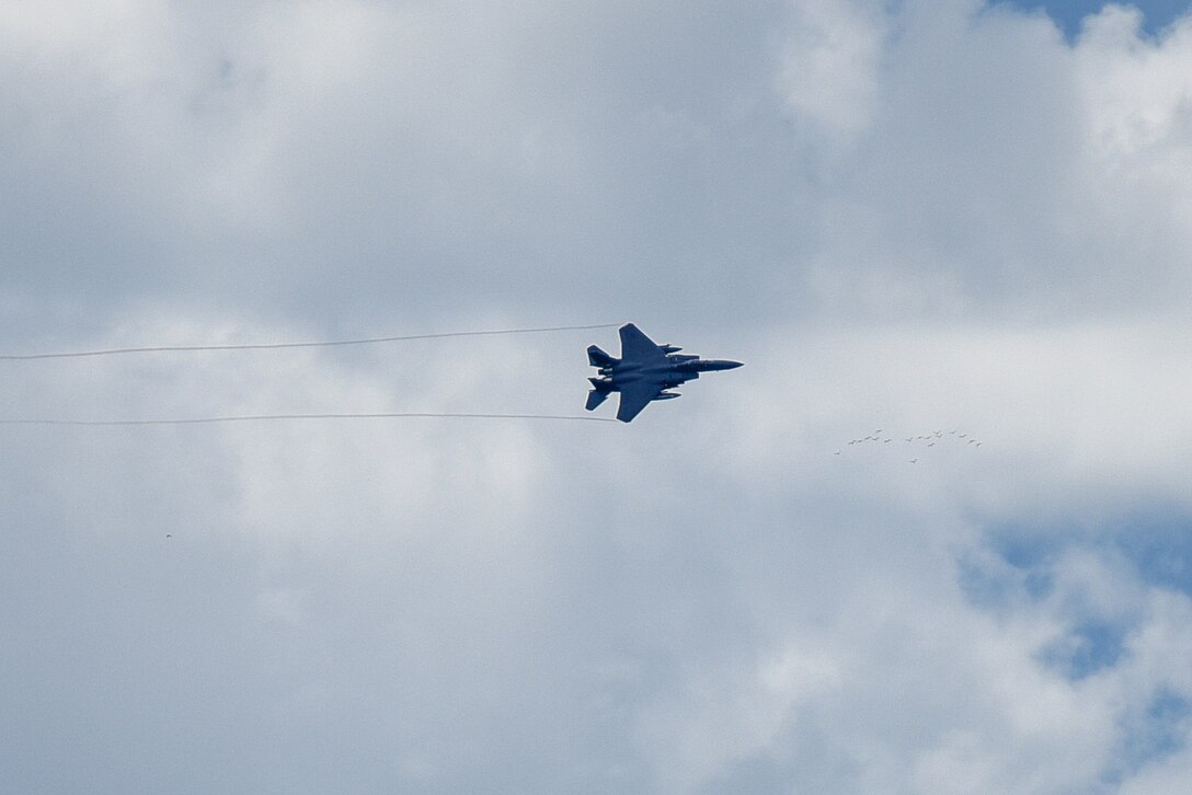 Combat Air Force Day 2018