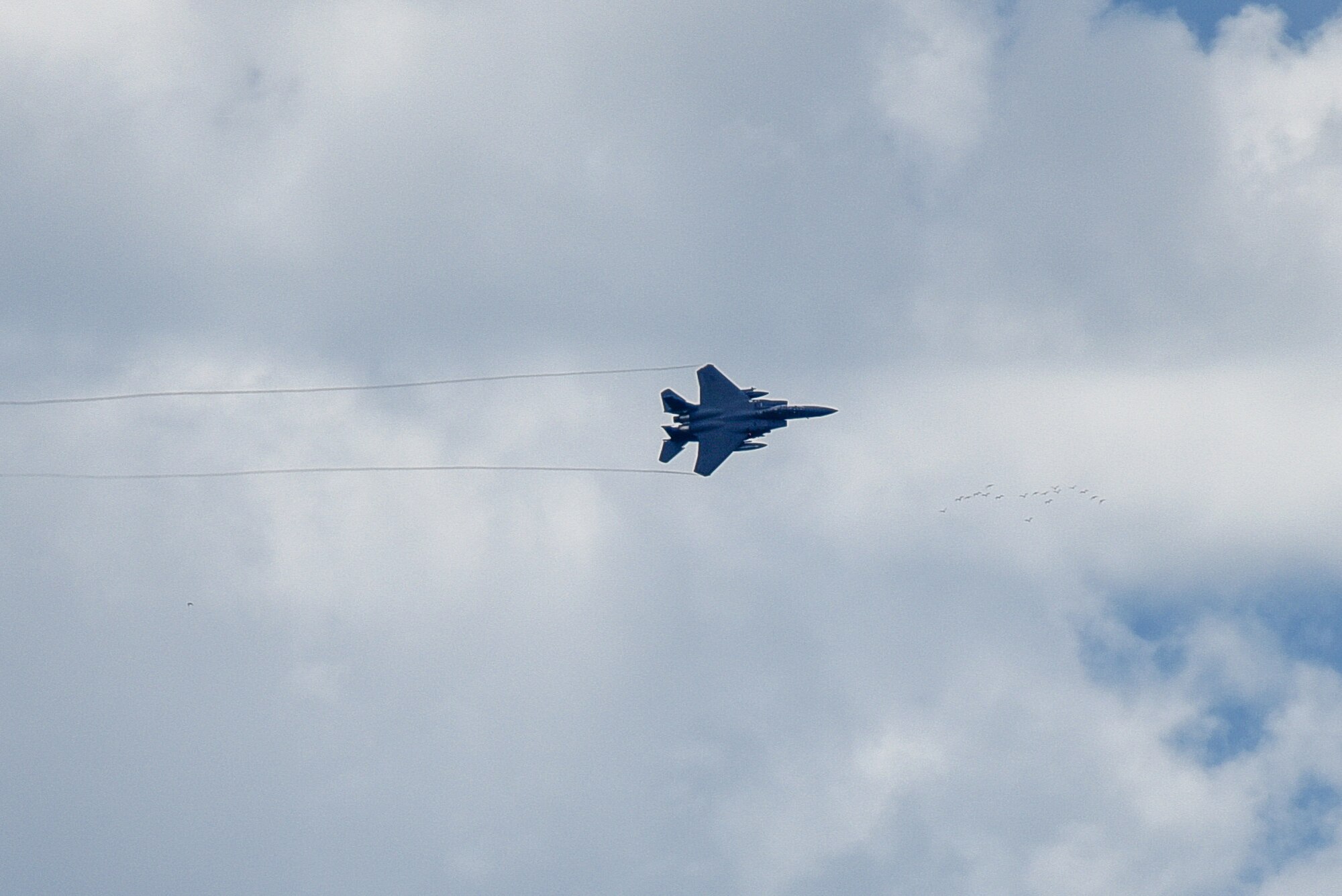 Combat Air Force Day 2018