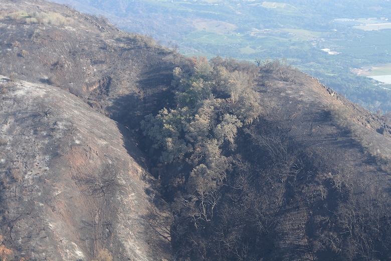 The contrast of burn scars on the mountainsides overlooking plush green landscapes in Santa Barbara County can be seen Jan. 18 from a UH-60 Blackhawk helicopter.