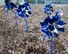 Pinwheel Gardens and Blue Ribbon Trees raise awareness for child abuse