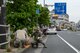 Senior Airman Amy Kristoffersen, 374th Communications Squadron Operations Flight client systems technician journeyman, pulls weeds from a tree bed during the Fussa Beautification Project outside of Yokota Air Base, Japan in Fussa May 17, 2018.