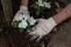 An Airman from the 374th Communications Squadron Operations Flight packs soil around a freshly planted flower as part of the Fussa Beautification Project outside of Yokota Air Base, Japan in Fussa May 17, 2018.