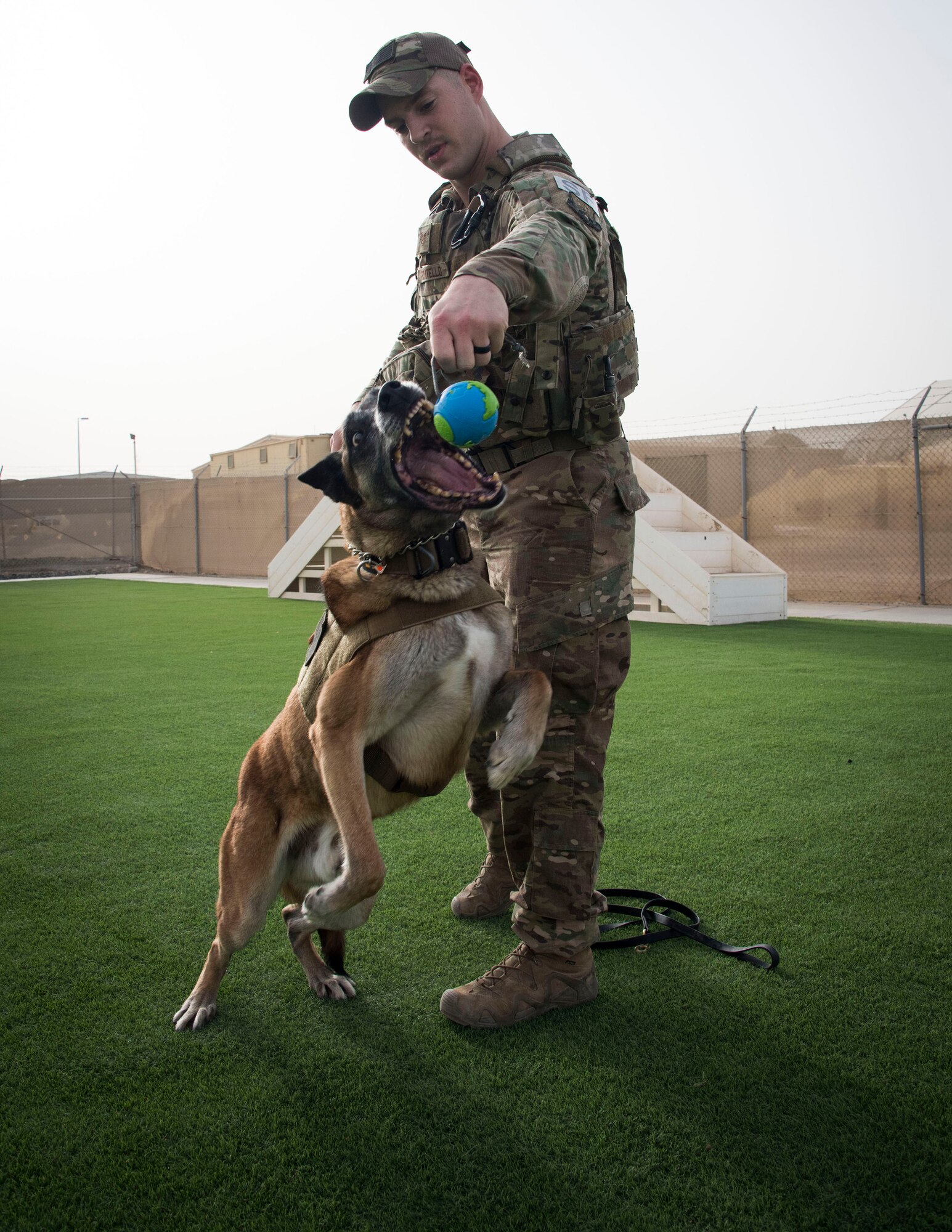 U.S. Air Force Staff Sgt. Carmen Pontello, Security Forces Squadron military working dog handler and his K-9 partner, Max, perform a series of warm-up training exercises to prepare for patrol duty at Al Dhafra Air Base, United Arab Emirates, May 14, 2018. Pontello is in the process of adopting Max this year after 11 years of faithful military service. (U.S. Air National Guard photo by Tech. Sgt. Nieko Carzis)