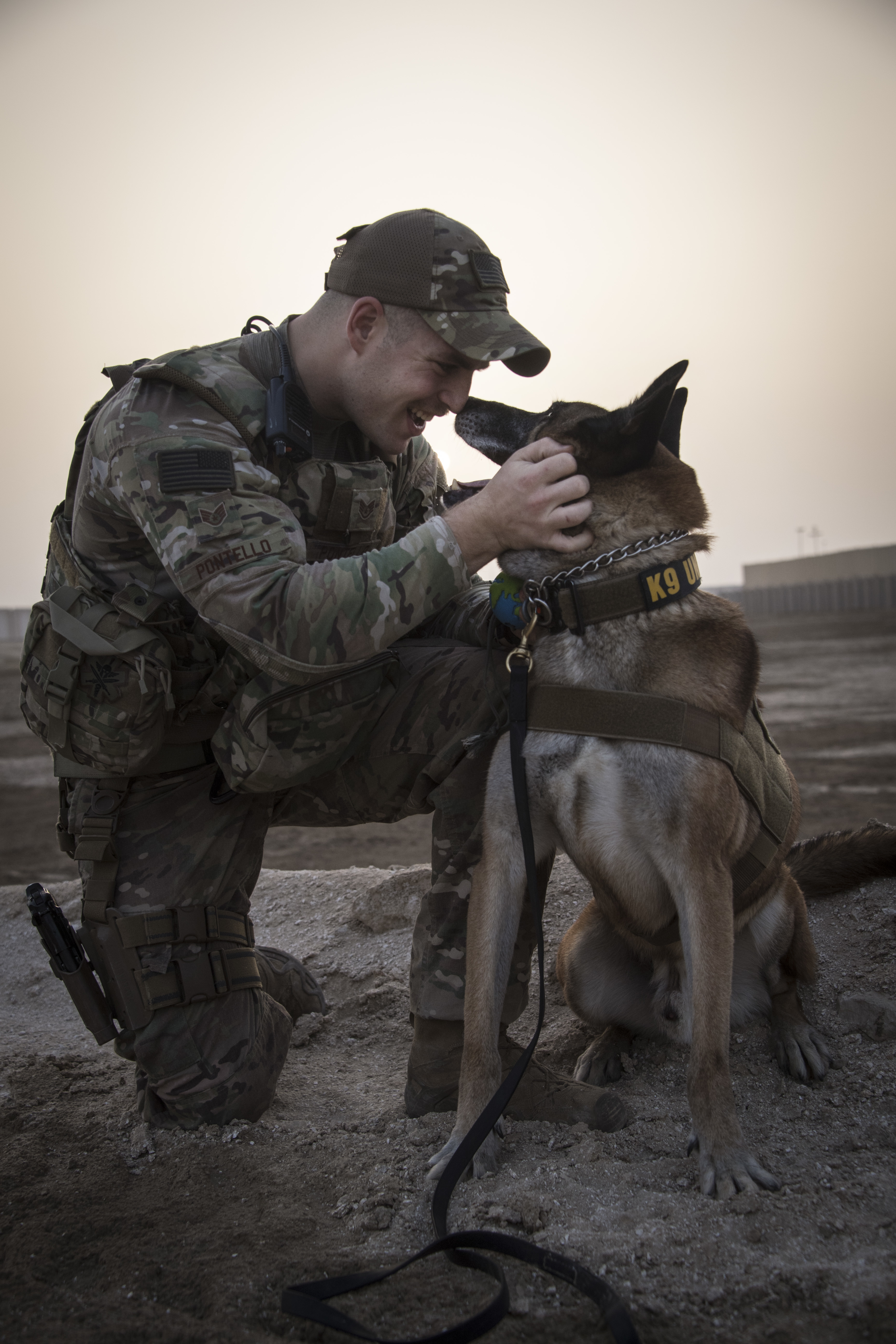 how-much-do-dog-handlers-earn