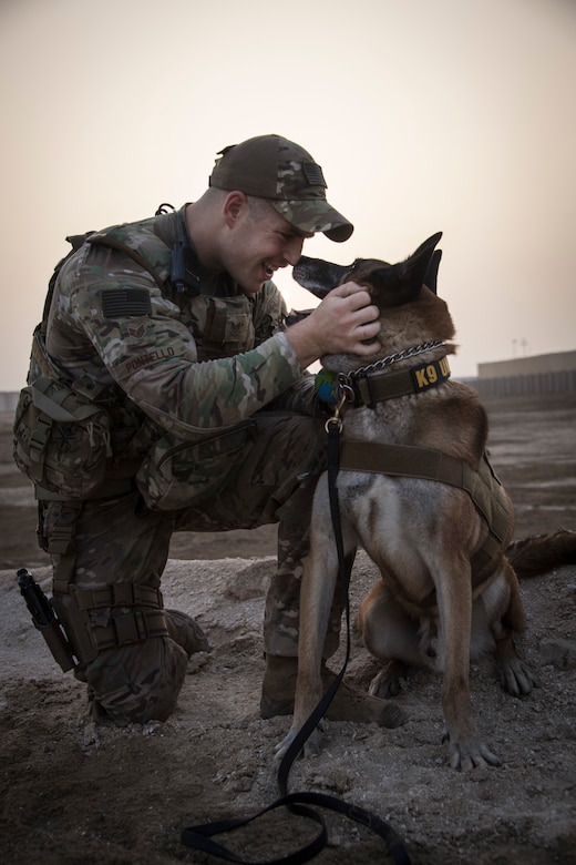 K9 years of service to earn him a forever home with his handler > U.S ...