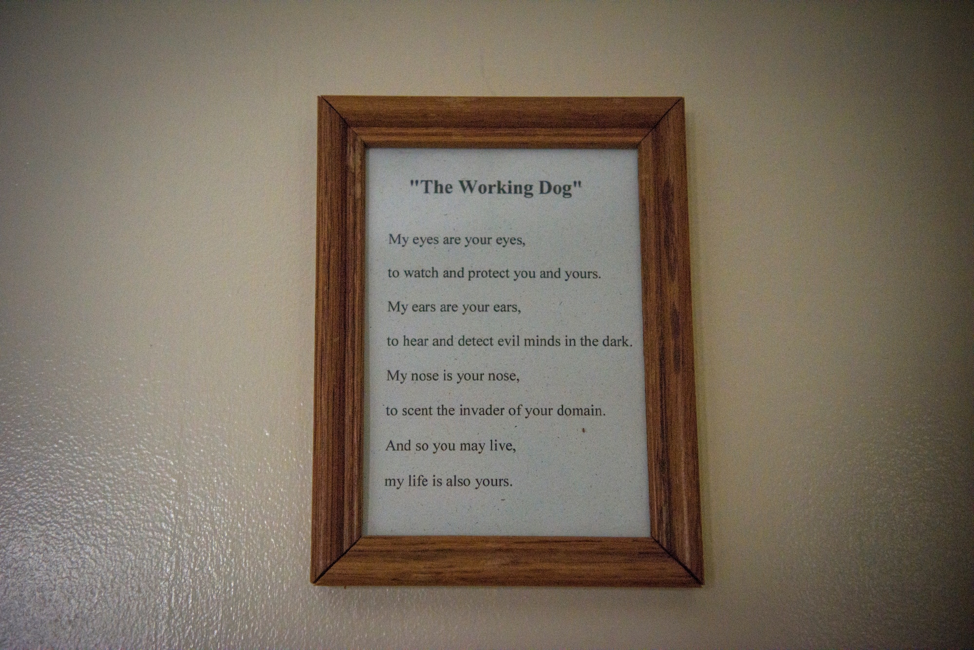 A picture frame displaying "The Working Dog", an ode from a military working dog to its handler, inside the base kennels at Patrick Air Force Base, Fla. The bond between a handler and an MWD is much deeper than most would think – as the two trust each other with their lives on a daily basis. (U.S. Air Force photo by Airman 1st Class Zoe Thacker)