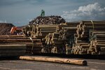 Over 15,000 poles have been delivered to restore electricity in Puerto Rico.