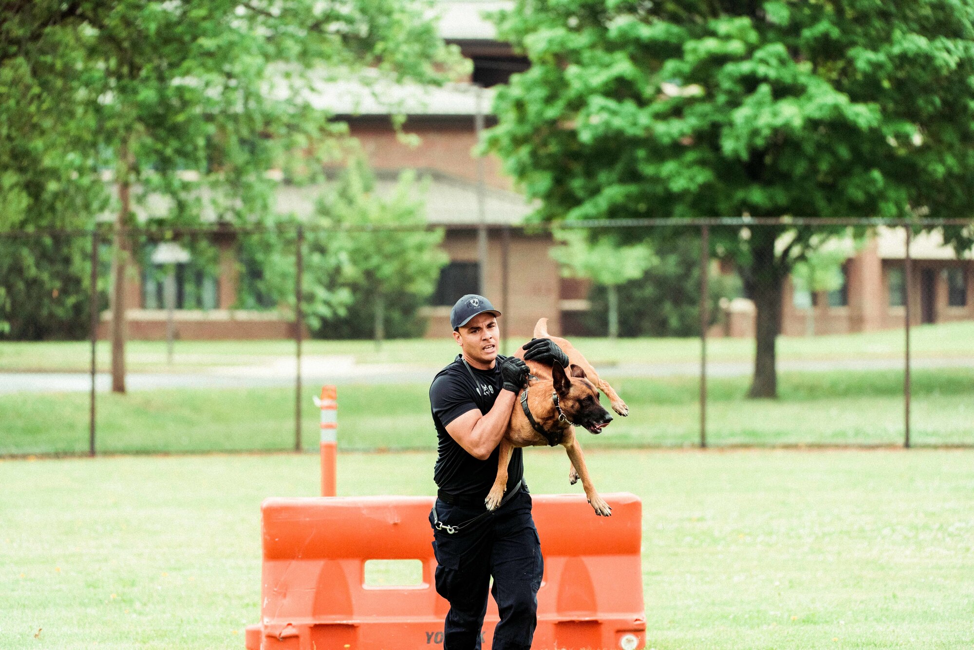 K-9