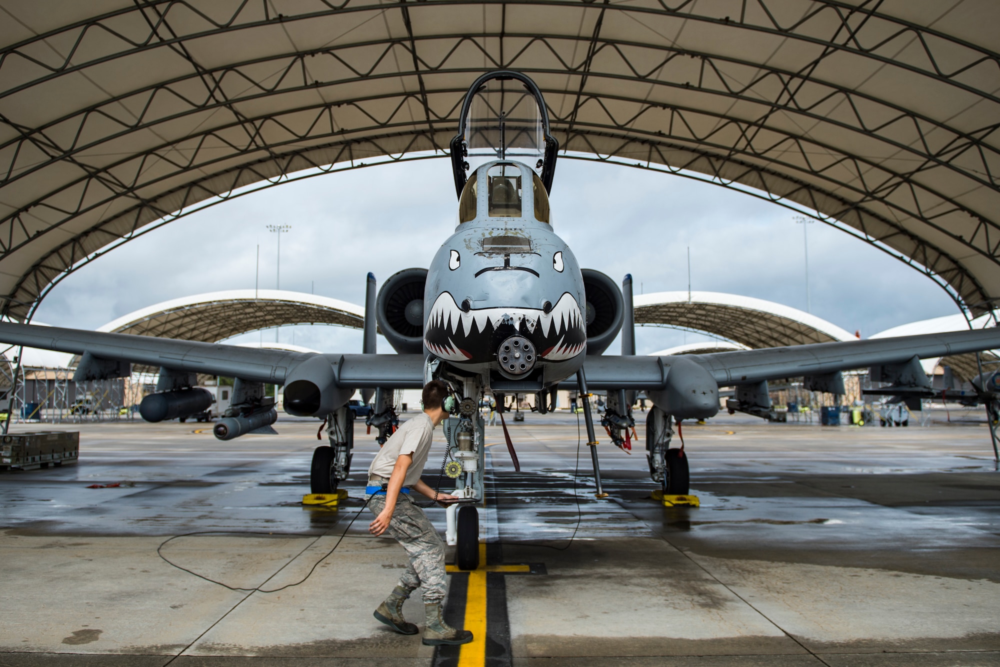 Airman 1st Class Jacob Curry, 23d Aircraft Maintenance Squadron crew chief, performs a preflight systems check prior to launching an A-10C Thunderbolt II, May 17, 2018, at Moody Air Force Base, Ga. Airmen conduct routine training missions in the airspace surrounding Moody to remain current on their tactics and procedures. While helping pilots remain proficient, training also gives crew chiefs and maintainers the opportunity to remain proficient at launching and maintaining the aircraft. (U.S. Air Force photo by Senior Airman Janiqua P. Robinson)