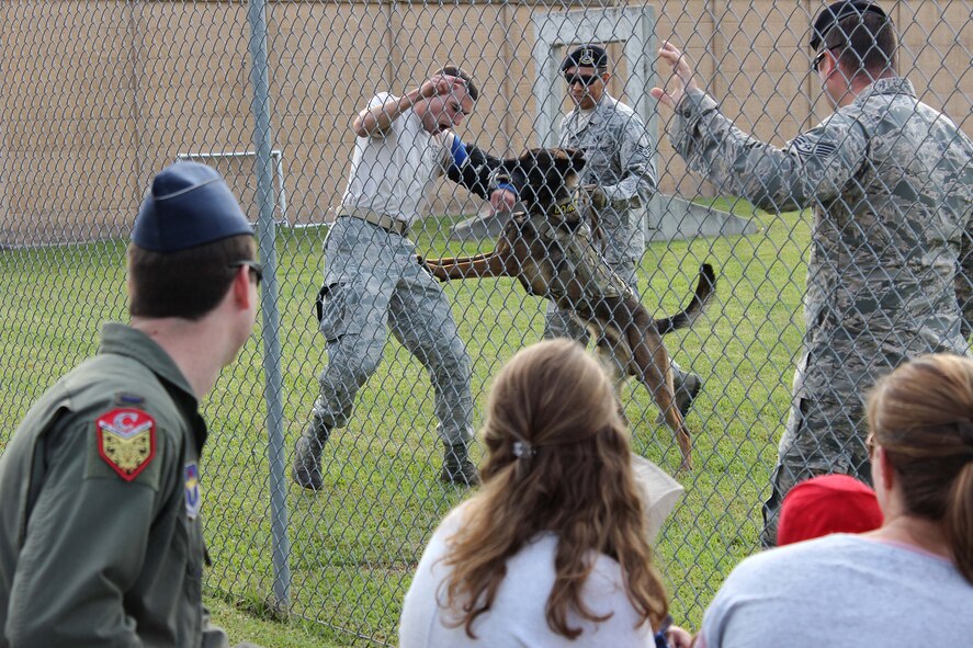 Military Working Dog Ooleg bites Staff Sgt. Zachary Kunkler, 14th Security Forces Squadron MWD handler, during a demonstration May 15, 2018, at Columbus Air Force Base, Mississippi. The demonstration was a part of the National Police Week 2018, which is a week set aside to recognize security forces and local law enforcement. (U.S. Air Force photo by Airman 1st Class Beaux Hebert)