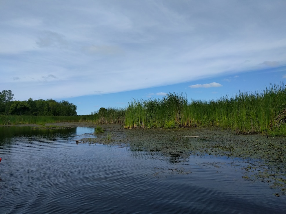 Photo at Braddock Bay in Greece, New York, site of a USACE, Buffalo District Ecosystem Restoration project.