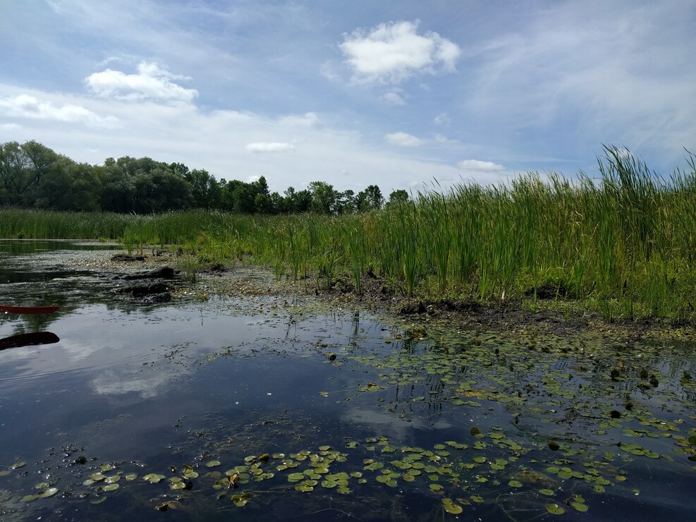 Photo at Braddock Bay in Greece, New York, site of a USACE, Buffalo District Ecosystem Restoration project.