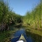 Photo at Braddock Bay in Greece, New York, site of a USACE, Buffalo District Ecosystem Restoration project.