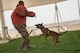 Members of the 379th Expeditionary Security Forces Squadron participate in a K-9 competition during National Police Week at Al Udeid Air Base, Qatar, May 14, 2018. Throughout the week, security forces members held numerous events in honor of defenders who died in the line of duty. (U.S. Air Force photo by Tech. Sgt. Ted Nichols)