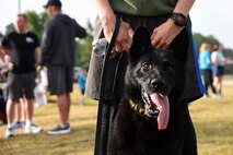 U.S. Air Force Senior Airman Juan Gamboa, 20th Security Forces Squadron (SFS) military working dog (MWD) handler, stands behind Cigan, 20th SFS MWD, after a National Police Week 5K at Shaw Air Force Base, S.C., May 17, 2018.