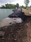 The Corps awarded the emergency repair contract May 18 to help Jefferson County emergency managers and Flood Control District #1 stabilize an eroded area of the Heise-Roberts Levee System on the Snake River near Lorenzo, Idaho. As of Monday morning (May 21), contractors have repaired more than two-thirds of the 300-feet-long by 15-feet-wide section of levee that was eroded away by seasonal high flows in the Snake River. In some locations the levee has been eroded more than 20 feet in height from the top of the levee -- about 8 feet of the levee is visible above the water’s surface. If not repaired, the erosion poses a threat to the structural integrity of the levee and about 65 homes located within the leveed area.