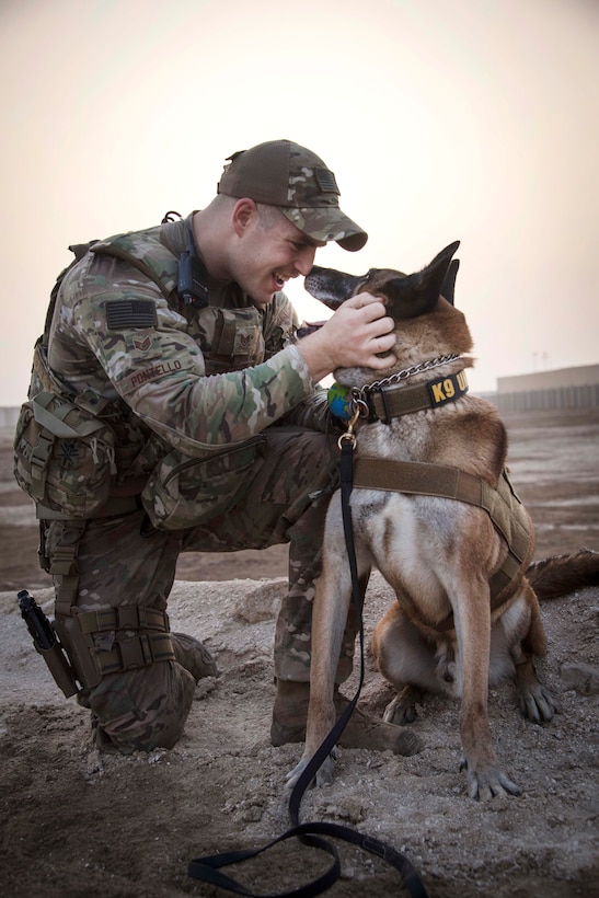 An airman and military working dog share a moment of affection during a break.