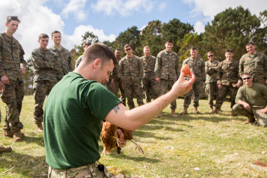 British Army Staff Sgt. Steven Kelly, survival instructor with 29th Commando Regiment, Artillery Battery, shows Marines with 4th Air Naval Gunfire Liaison Company, Force Headquarters Group, how to properly pluck and dress a chicken during survival training, in Durness, Scotland, April 26, 2018.