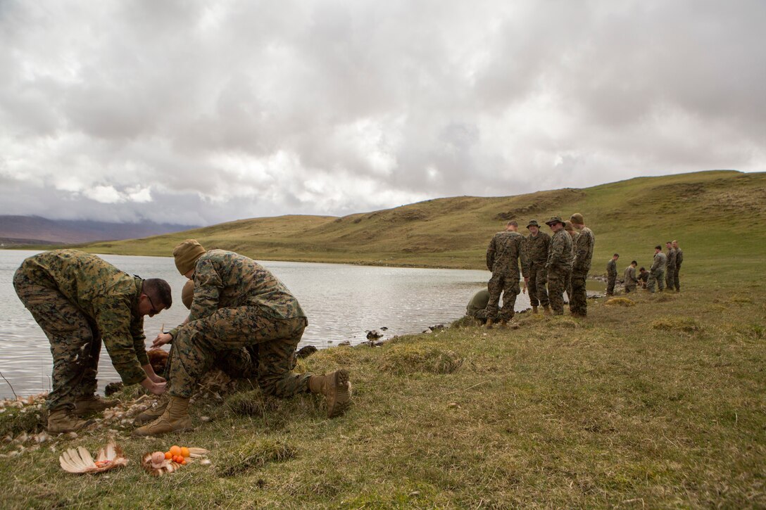 After a demonstration from British Commando's, Marines with 4th Air Naval Gunfire Liaison Company, Force Headquarters Group, pluck and dress a chicken during survival training, in Durness, Scotland, April 26, 2018.