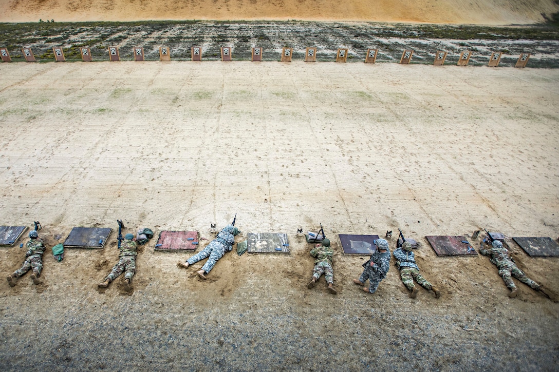 Soldiers, shown from overhead, lie prone on an outdoor firing line and aim at a row of targets.