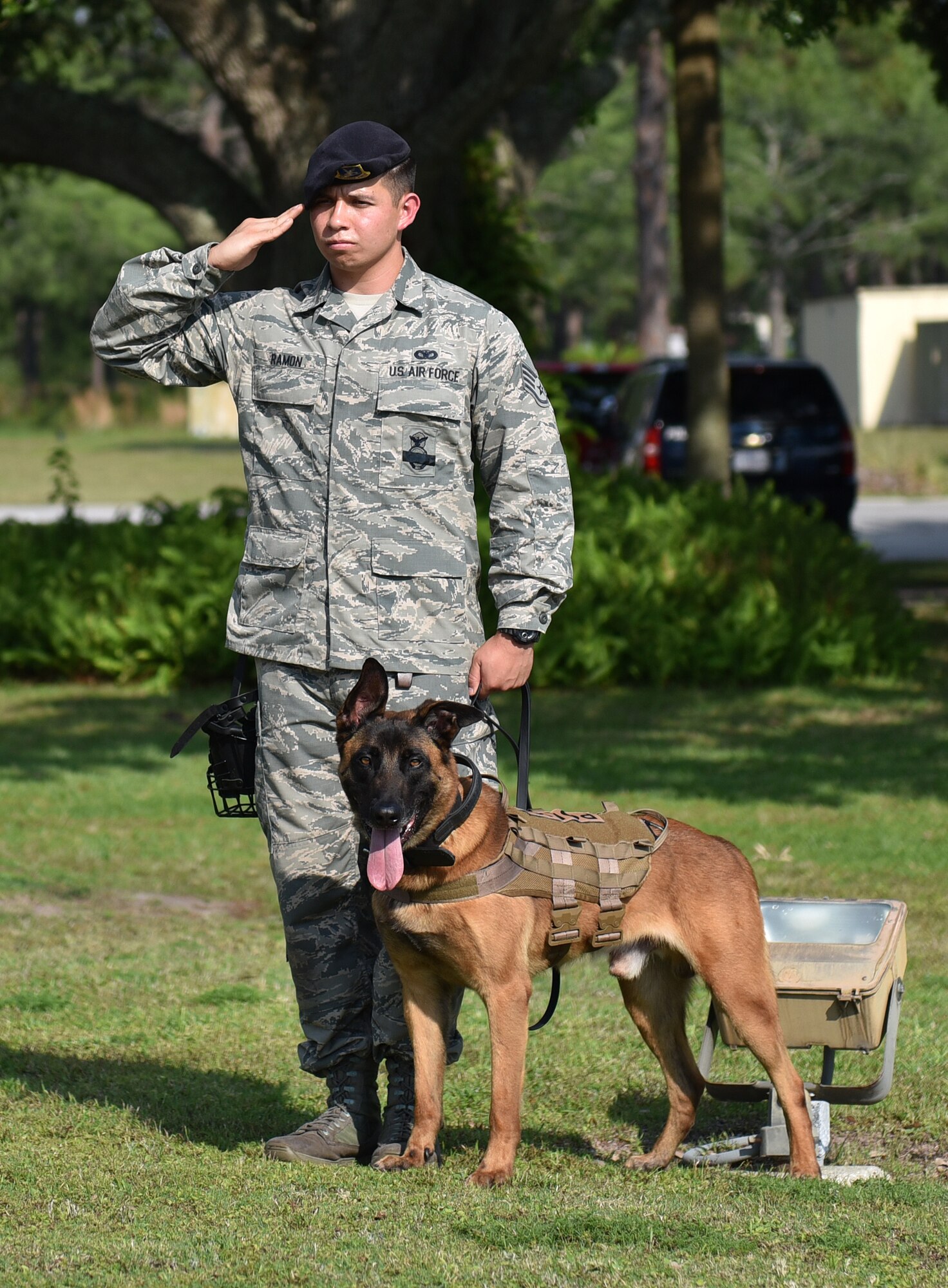 325th Fighter Wing Public Affairs