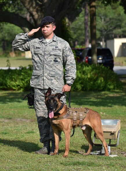 325th Fighter Wing Public Affairs