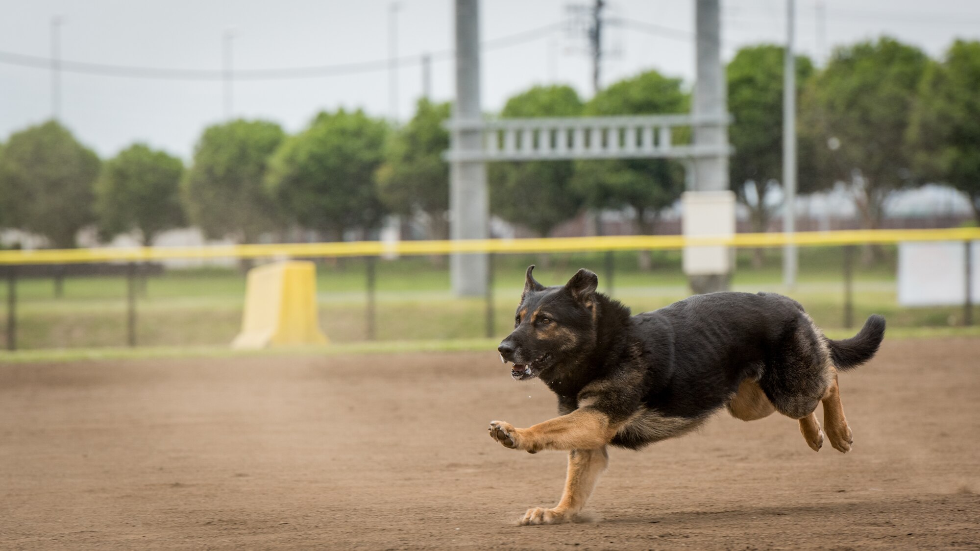 374th SFS celebrate National Police Week