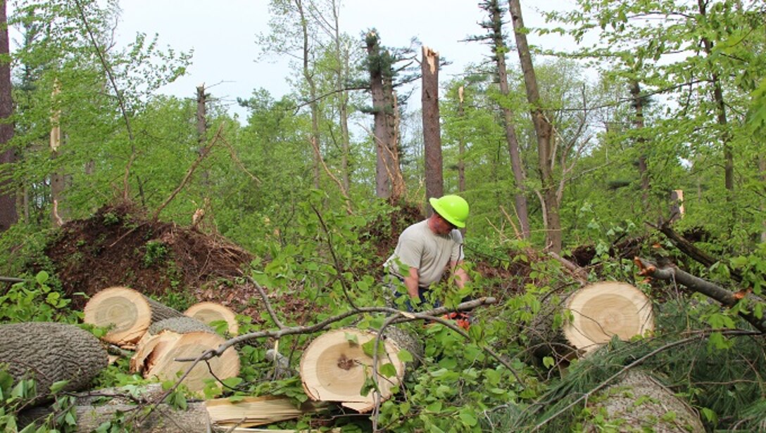 Staff Sgt. Justin Wielock, 103rd Civil Engineering Squadron, uses a chainsaw to cut trees down for removal May 18, 2018 in Bethany, Conn. After the statewide storm on May 15, 2018, the Connecticut National Guard was activated to assist local and state agencies clear roads of fallen trees and debris. (U.S. Air National Guard photo by 1st Lt. Jen Pierce/released)