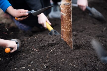 Ursa Major Elementary School students shovel soil onto a recently planted spruce tree during an Arbor Day ceremony at Joint Base Elmendorf-Richardson, Alaska, May 21, 2018. Ecologists and participants planted two trees at Ursa Major Elementary and the JBER Cache in celebration of Alaska’s Arbor Day, May 17 and 21. National Arbor Day is always celebrated on the last Friday in April, however, Alaska’s Arbor Day is celebrated on the third Monday in May. The Arbor Day Foundation recently named JBER a 2018 Tree City USA, an honor the base has earned for 21 years running.