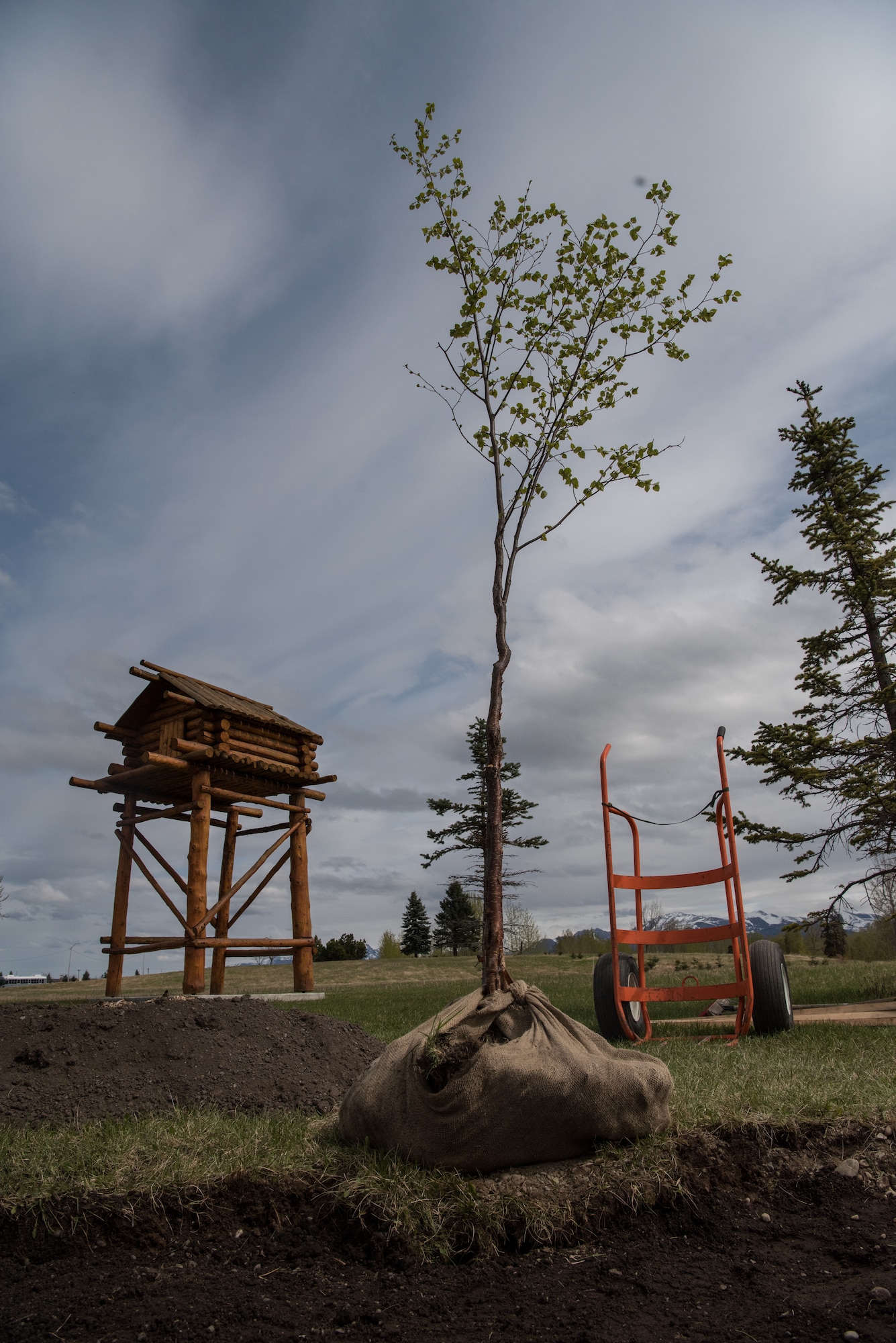 More than 100 Airmen, Soldiers members of the community, children and friends attended two tree-planting ceremonies to celebrate Arbor Day and the life of a special volunteer at Joint Base Elmendorf-Richardson, Alaska, May 17 and 21. The Arbor Day Foundation recently named Joint Base Elmendorf-Richardson a 2017 Tree City USA, an honor the base has earned for 21 years running.
