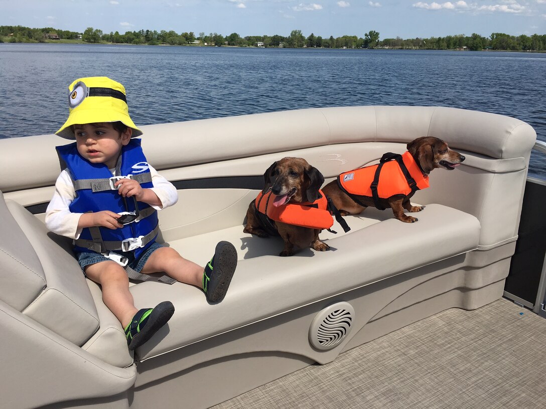 boy and two dogs on boat wearing life jackets