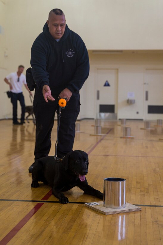 Camp Pendleton Marines organize regional ATF K9 training