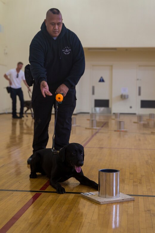 Camp Pendleton Marines organize regional ATF K9 training