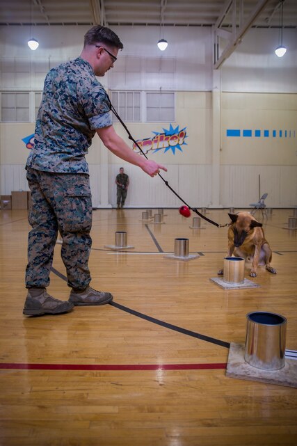 Camp Pendleton Marines organize regional ATF K9 training