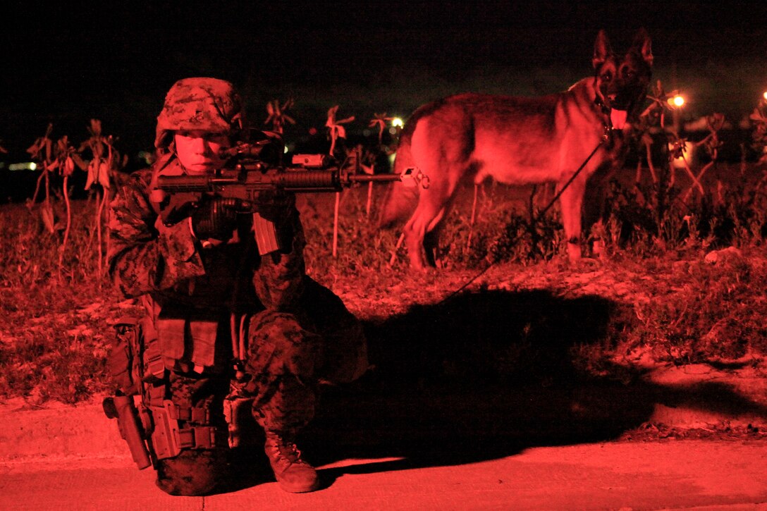 U.S. Marine Corps Cpl. Sierra Vandermark and her military working dog, Kas, provide security during a low-light assault as part of a field training exercise, May 22, 2018, at White Beach Naval Facility, Okinawa, Japan. The exercise tested the Marines’ ability to use nonlethal force, operate entry control points and process crime scene evidence. Vandermark is a native of Palmer, Alaska. (U.S. Marine Corps photo by Cpl. Jonah Baase)