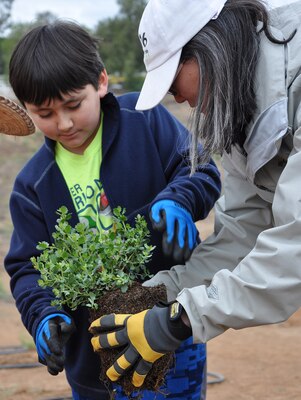 Eileen Takata, landscape architect, lead water resources planner and public involvement specialist with the LA District’s Planning Division, right, and her son, Seth, left, prepare a native plant during a community tree-planting event May 12 in Norco.